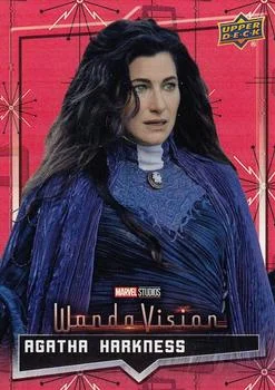 Agatha Harkness / Agnes - Kathryn Hahn